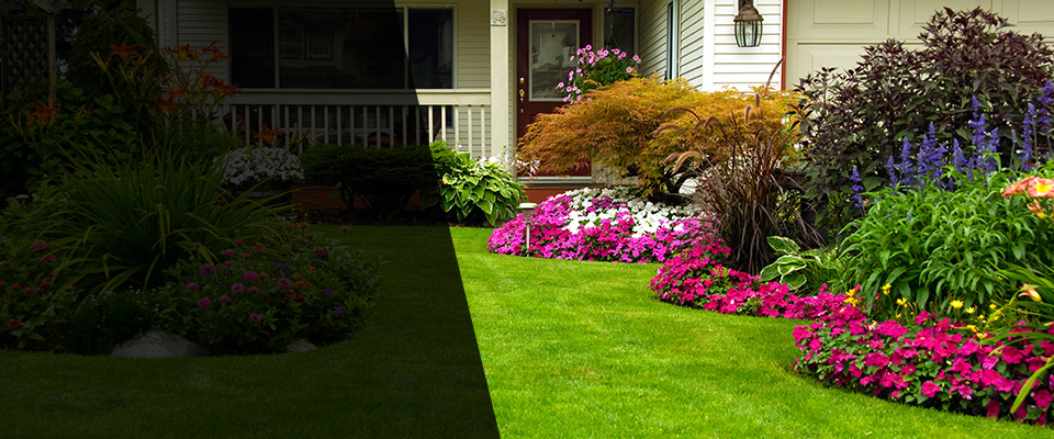 Troy Landscapers