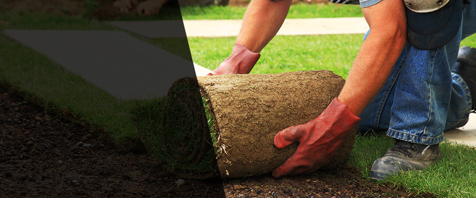 Troy Landscapers